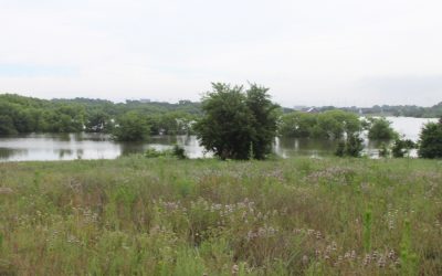 Council rezones two lots