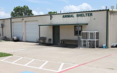 Bond recommendations move forward