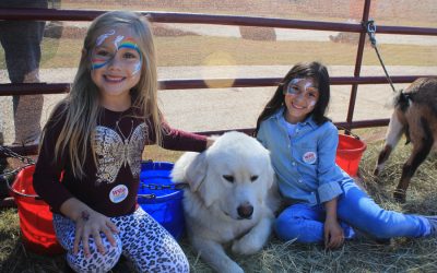 Fallfest returns in-person
