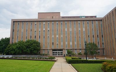 Texas Workforce Commission rolls out child care subsidy