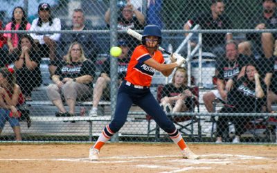 Sachse wins bi-district round
