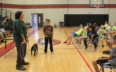 Popular summer SPD camp filling up