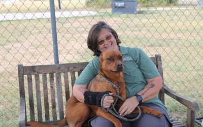 Clear the Shelter ends this month