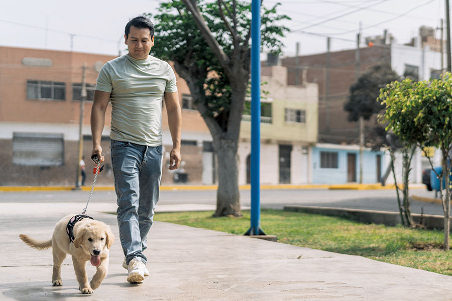 Walk More to Stress Less: Get Moving to Improve Well-Being