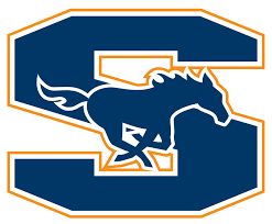 Sachse topples Garland in 9-6A opener