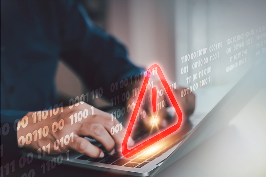 Software glitch blamed for registration delays