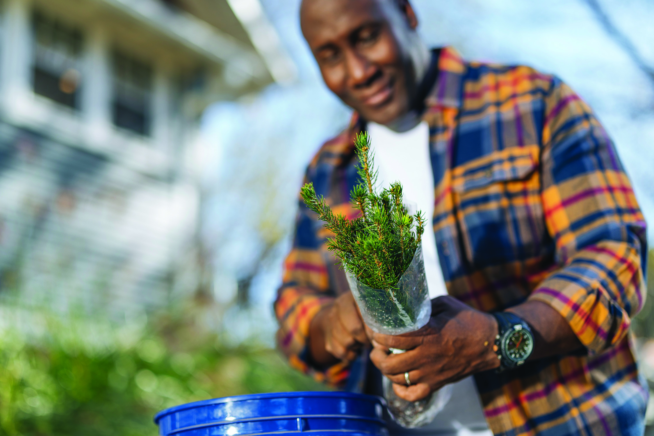 Fall tree planting